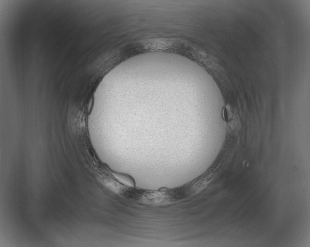 X0000083000431200702160054