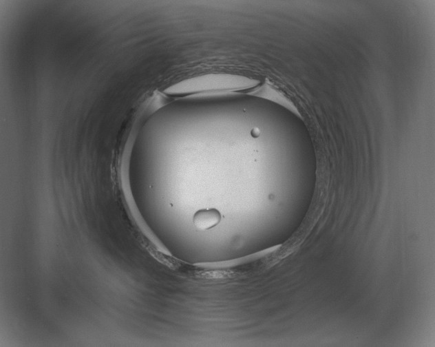 X0000083000432200702160054