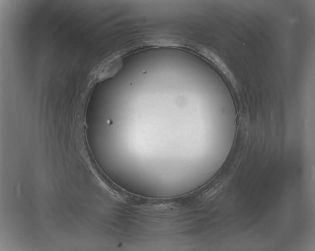 X0000083000433200702160053