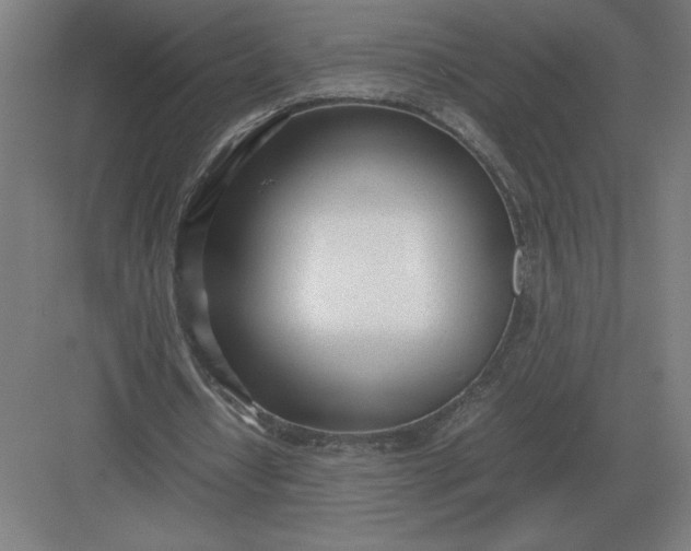 X0000083000434200702160053