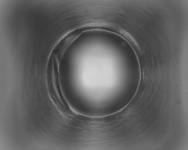 X0000083000436200702160053