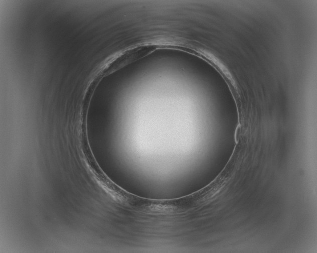 X0000083000437200702160053