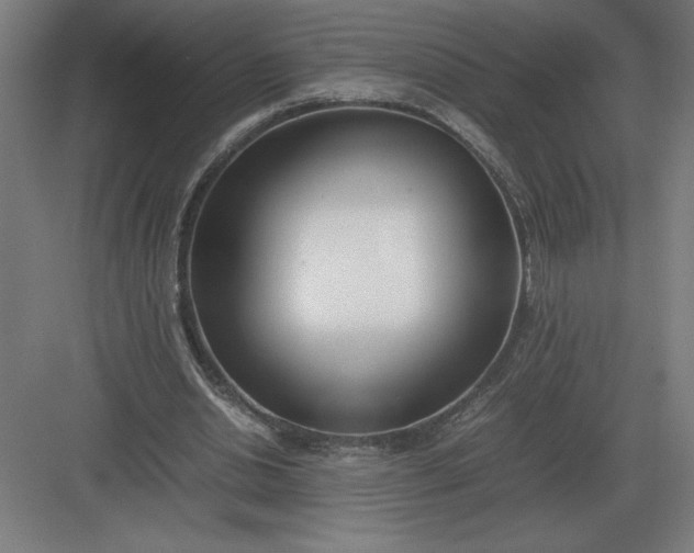 X0000083000438200702160053