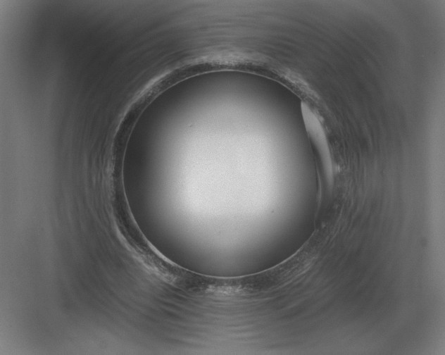 X0000083000440200702160053