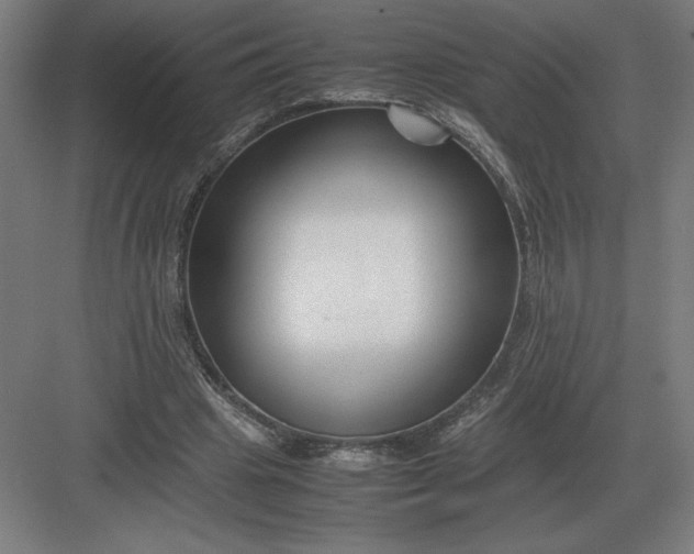 X0000083000441200702160053