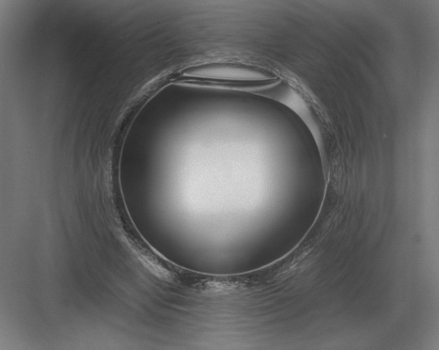 X0000083000442200702160053