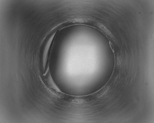 X0000083000444200702160053