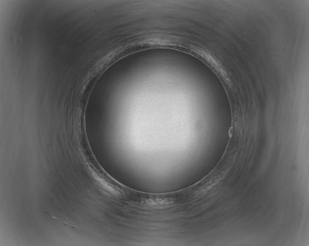 X0000083000445200702160053