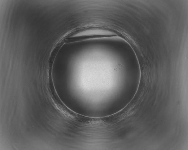 X0000083000446200702160053