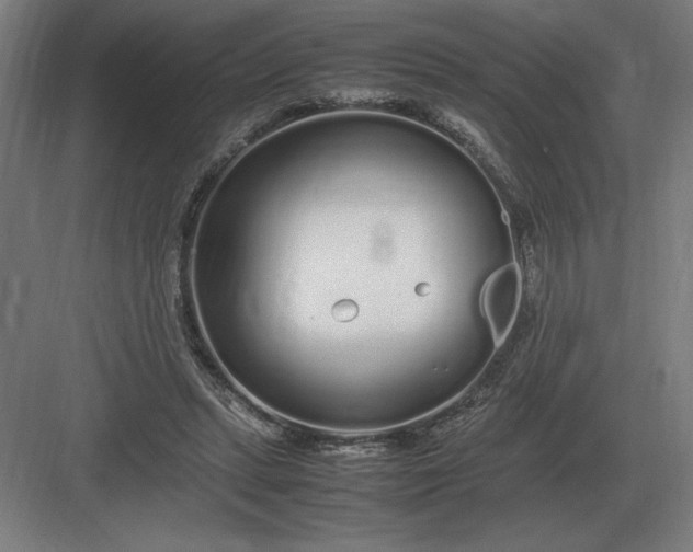 X0000083000447200702160053