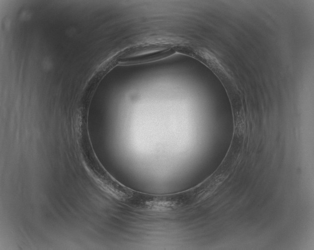 X0000083000448200702160053