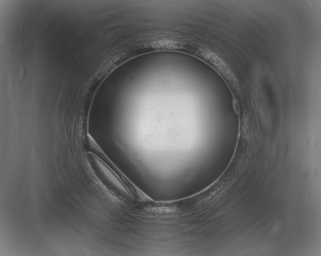 X0000083000449200702160053