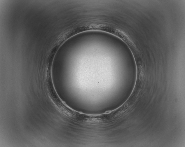 X0000083000451200702160053