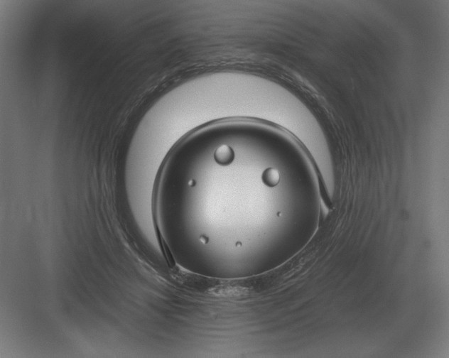 X0000083000452200702160054