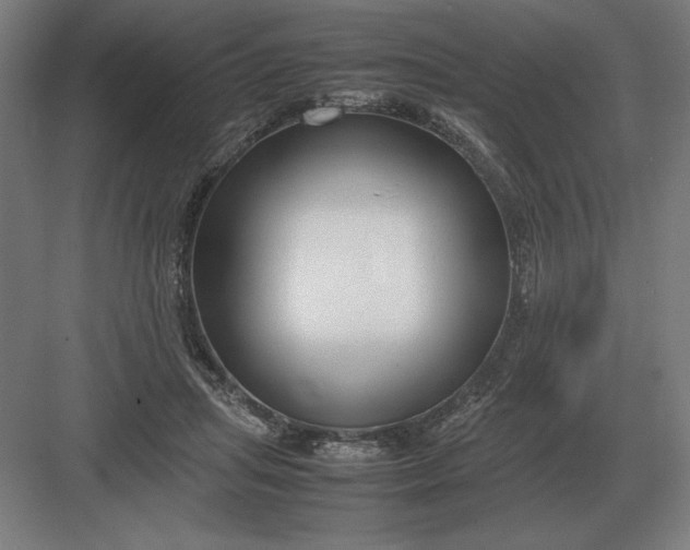 X0000083000455200702160054