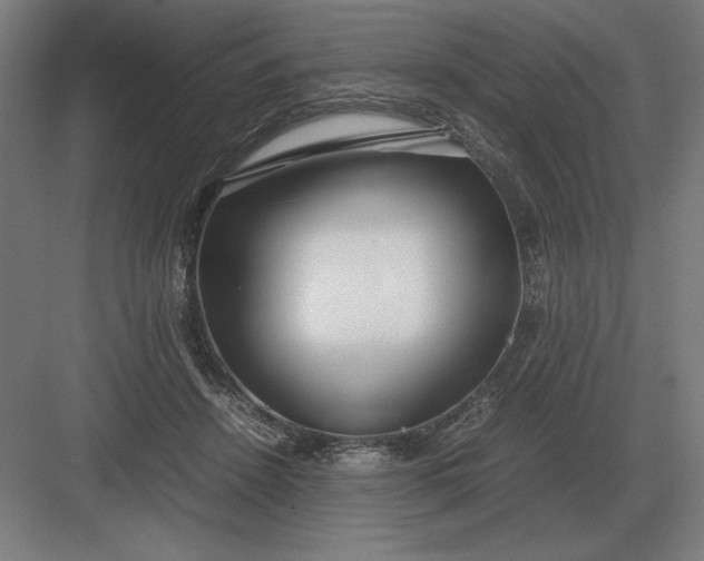 X0000083000456200702160054