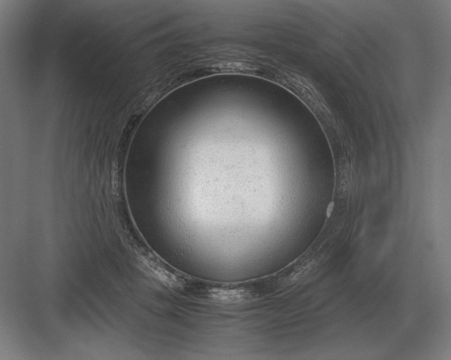 X0000083000457200702160054