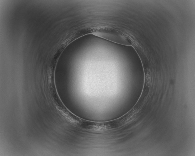 X0000083000458200702160054