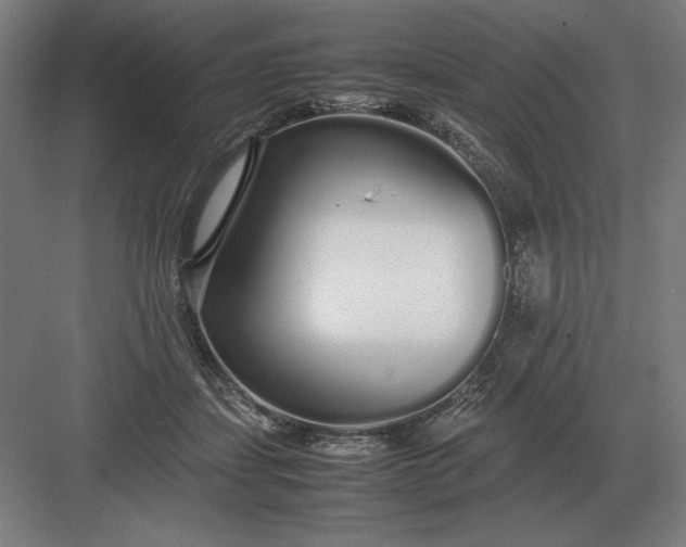 X0000083000459200702160054