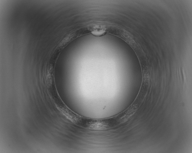 X0000083000460200702160054