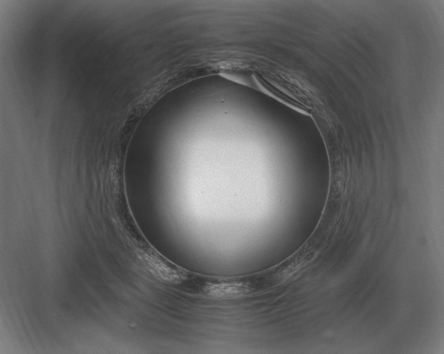 X0000083000461200702160054