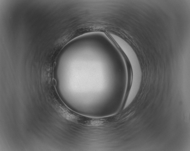 X0000083000462200702160054