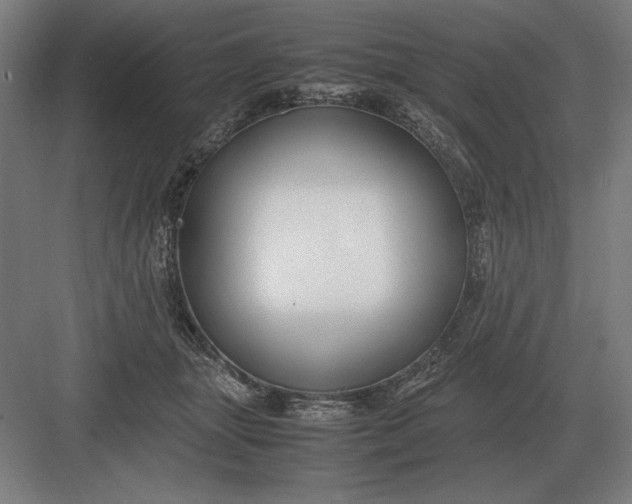 X0000083000463200702160054