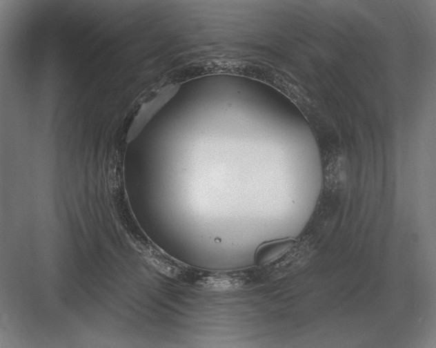 X0000083000464200702160054