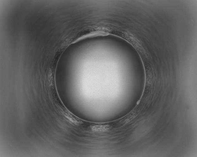 X0000083000465200702160054