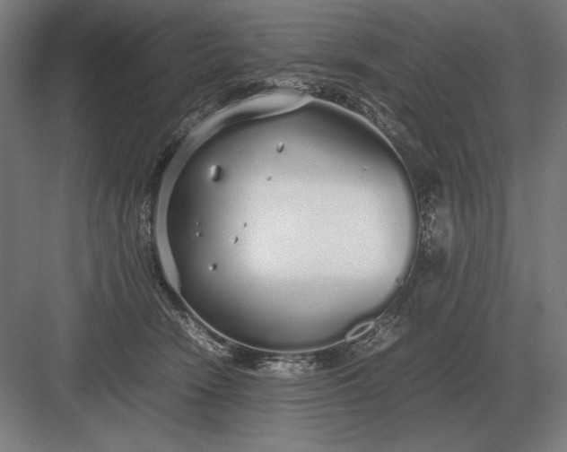 X0000083000466200702160054