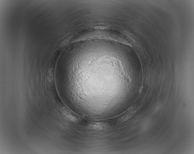 X0000083000467200702160054