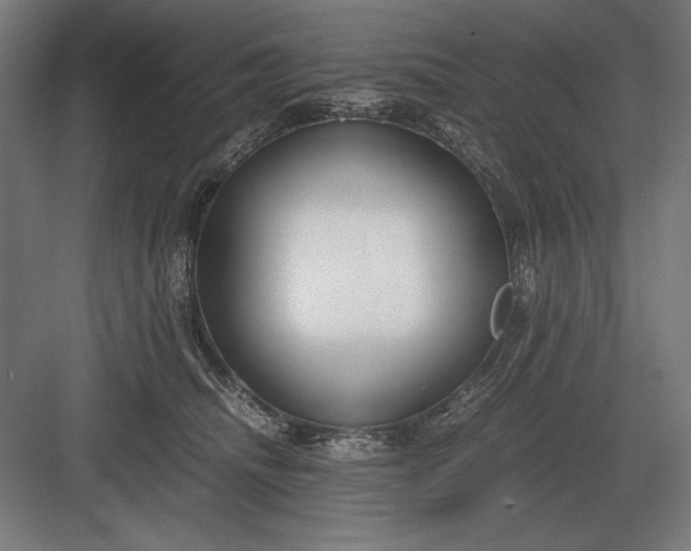 X0000083000468200702160054