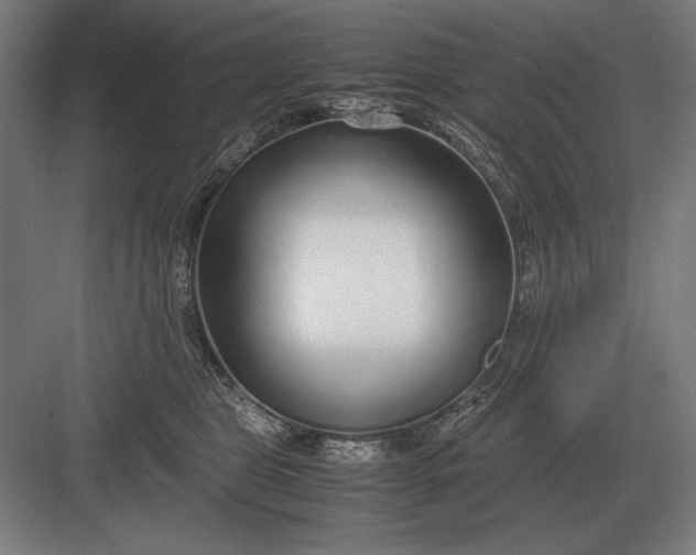 X0000083000469200702160054