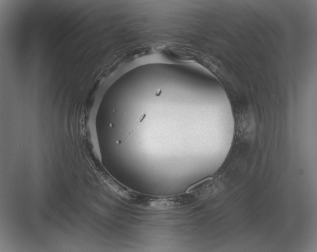 X0000083000470200702160054