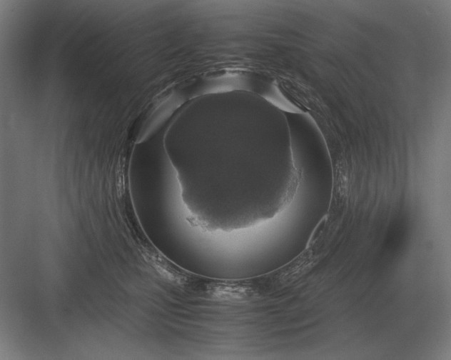 X0000083000471200702160054