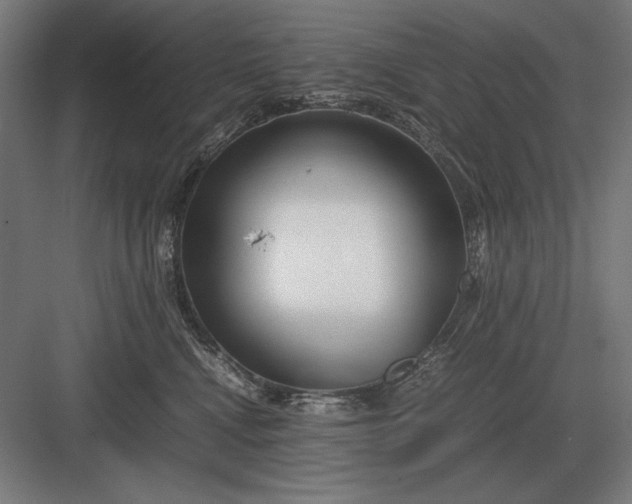 X0000083000472200702160054