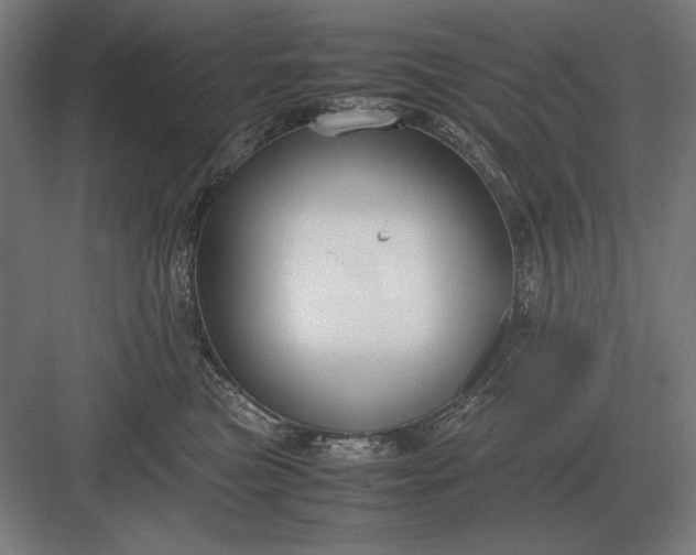 X0000083000473200702160054