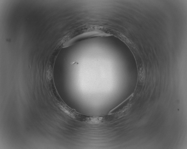 X0000083000474200702160054