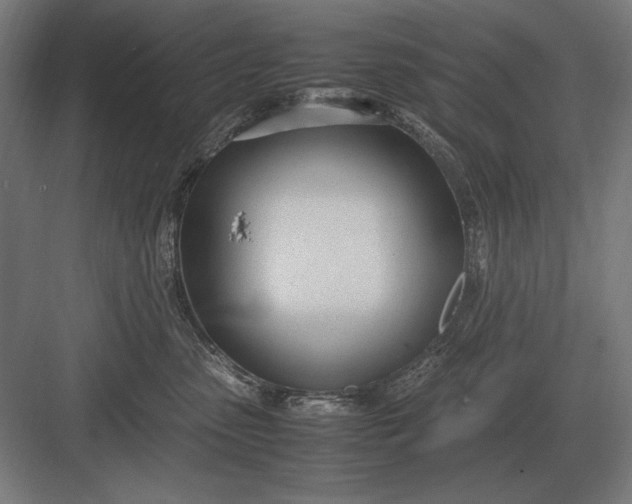 X0000083000475200702160054