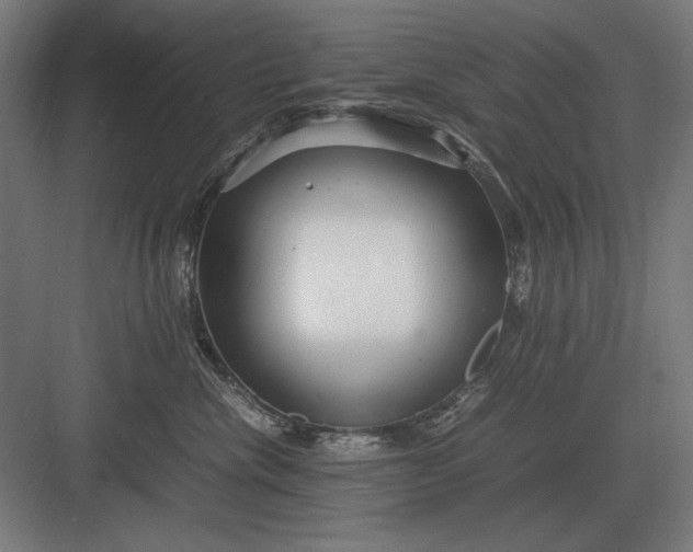 X0000083000476200702160054