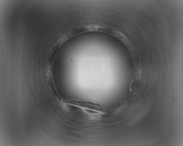 X0000083000477200702160054