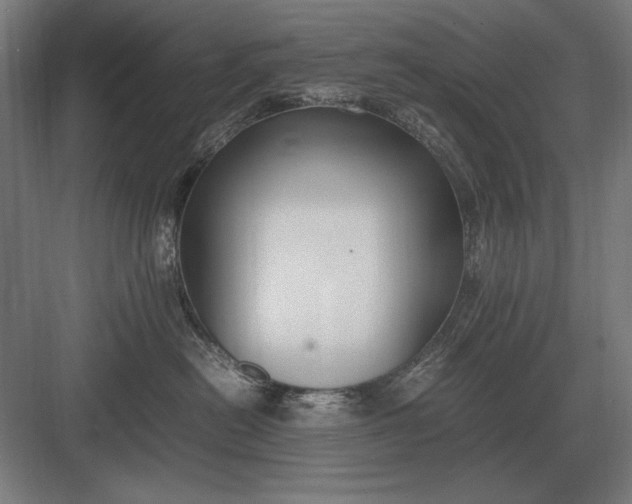 X0000083000478200702160054