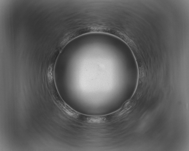 X0000083000479200702160054