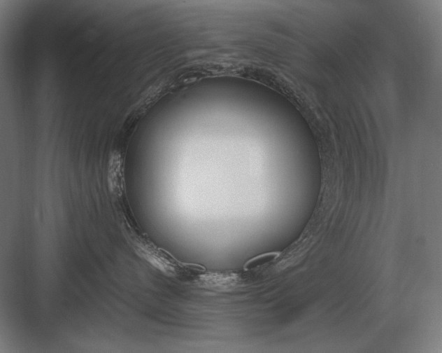 X0000083000480200702160054