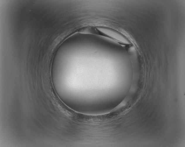 X0000083000481200702160053