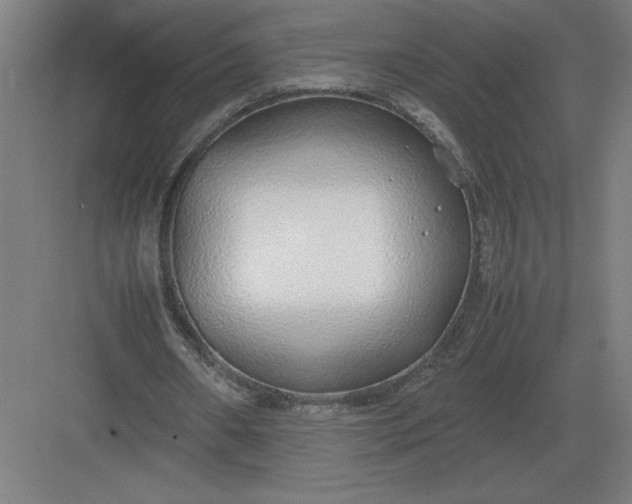 X0000083000482200702160053