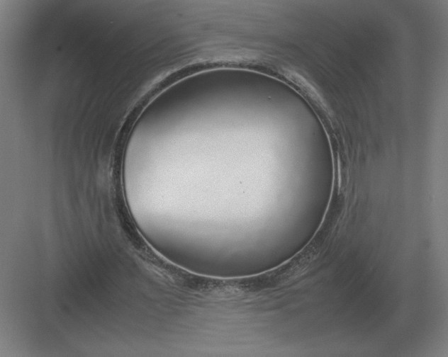 X0000083000483200702160053