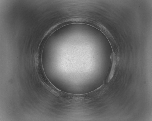 X0000083000484200702160053