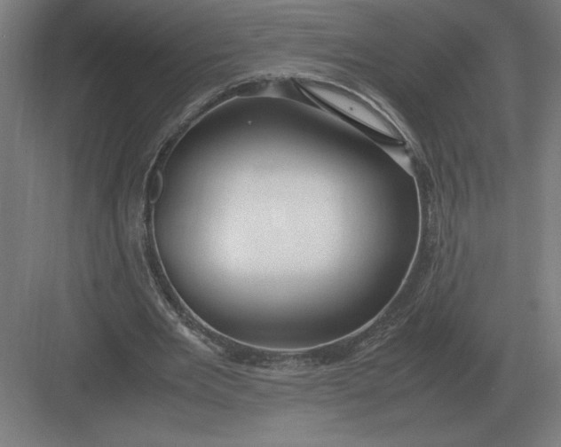 X0000083000485200702160053