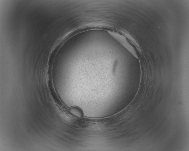 X0000083000486200702160053